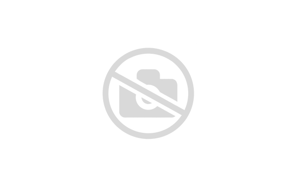 Мотоцикл дорожный SPRMOTORS WOLF 300 WC