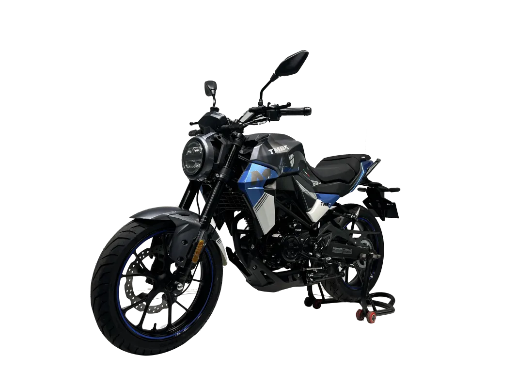 Мотоцикл TMBK MONTANA 250 (165 FMM)