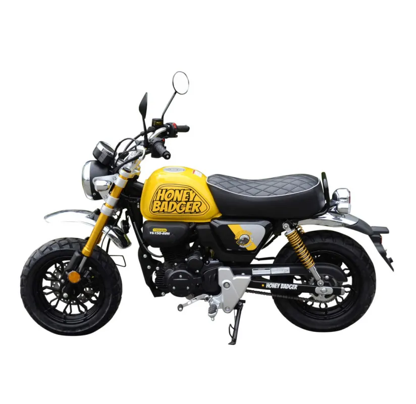 Питбайк MOTOLAND Monkey 150